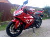 Motoland R1 300, 2026 г.