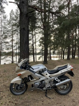 Kawasaki ZZR, 2002 г.