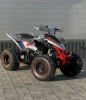 Motoland VOX 250 RALLY, 2024 г.