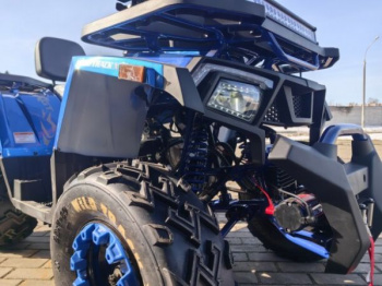 Motoland Wild Track 200 X WINCH, 2025 г.