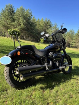 Harley-Davidson Softail Street Bob FXBB, 2019 г.