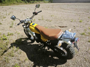 Motoland V-Raptor 250, 2026 г.
