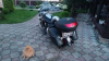 Yamaha XV, 2003 г.