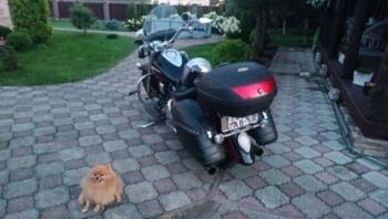 Yamaha XV, 2003 г.