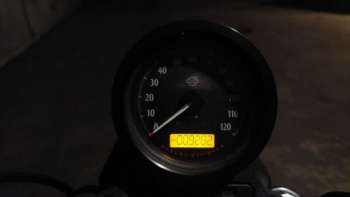 Harley-Davidson Sportster XL883N, 2021 г.