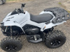 BRP Renegade, 2024 г.