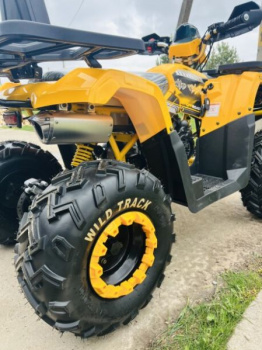 Motoland Wild Track LUX 200, 2026 г.
