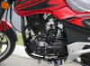 Racer RC 250-C5B MAGNUM, 2024 г.