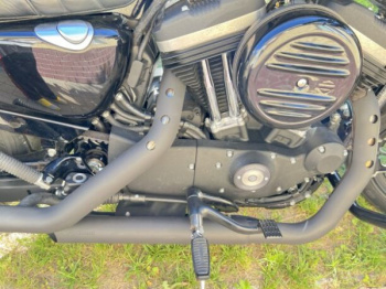 Harley-Davidson Sportster 883 iron, 2019 г.
