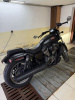 Harley-Davidson Nightster, 2023 г.