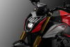 QJ MOTOR SRK 550, 2026 г.