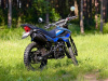Racer Panther Pro, 2026 г.