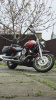 Yamaha XVS Custom, 2005 г.