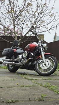 Yamaha XVS Custom, 2005 г.