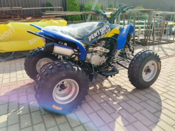 Mikilon Rapide Pentora 300, 2026 г.