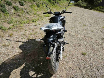 Regulmoto Alien Monster 300, 2025 г.