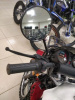 Motoland Alpha Forester RS 11, 2026 г.