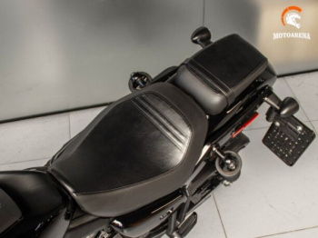 Harley-Davidson Nightster Special, 2023 г.