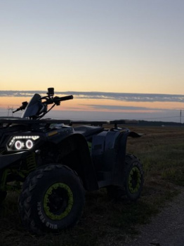 Motoland 200 Wild Track, 2024 г.