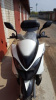 Racer Dragon, 2016 г.