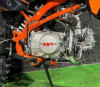 Kayo Evolution K125EM, 2025 г.