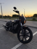 Indian Scout Rogue, 2022 г.