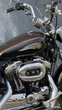 Harley-Davidson Sportster XL1200C anniversary, 2013 г.
