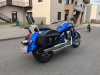 Kawasaki Vulcan 900, 2009 г.