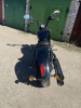 Indian Scout, 2019 г.
