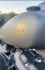 Harley-Davidson Fat Bob FXFB, 2017 г.