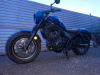 Honda CMX Rebel 500, 2025 г.