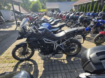 Triumph Tiger, 2010 г.