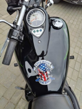 Kawasaki Vulcan Custom, 2015 г.