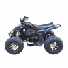 ATV Storm Panther SPORTY 250, 2025 г.