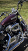 Harley-Davidson Sportster XL1200L (stage 1), 2007 г.