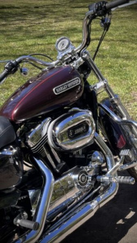 Harley-Davidson Sportster XL1200L (stage 1), 2007 г.