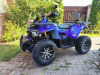 Motoland Wild Track X 200 PRO, 2026 г.