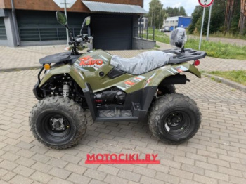 Kayo AU300 Carb, 2026 г.