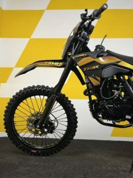 TMBK ENVY 300 PRO, 2025 г.