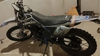 Progasi PALMA 250 ZS172FMM, 2024 г.