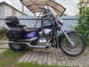 Honda VT VLX Shadow, 2001 г.