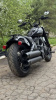 Indian Chief Bobber Dark Horse, 2022 г.