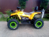 Motoland Wild Track X "WINCH" 200, 2026 г.