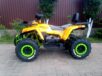 Motoland Wild Track X "WINCH" 200, 2026 г.