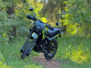 Racer Panther, 2026 г.