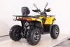 Motoland Wild Track 250 X PLUS, 2026 г.