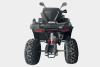 Эксклюзив Редкая модель RAM ATV FX250, 2025 г.