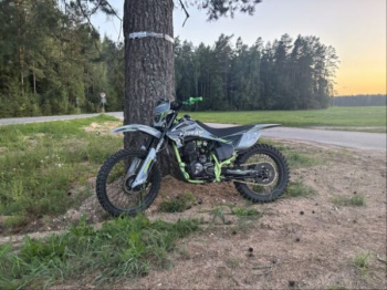 Progasi PALMA 250, 2024 г.