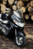 Suzuki Burgman, 1999 г.