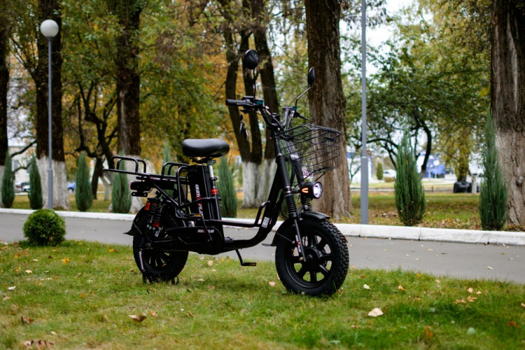  AVM E-ALFA Fat, 2026 г.